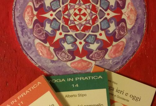 26 febbraio 2017, 09:30 – Seminario per insegnanti Yoga con il M.o Alberto Stipo